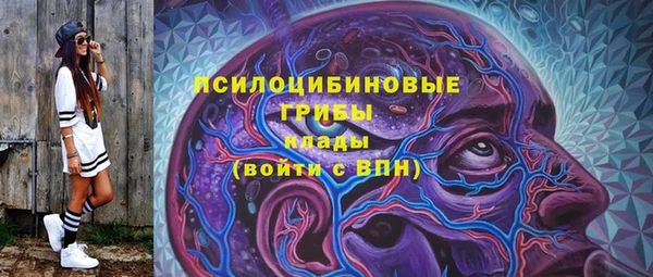 стаф Алексин