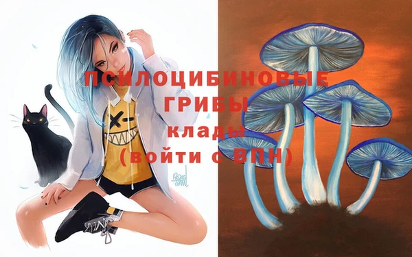 ГАЛЛЮЦИНОГЕННЫЕ ГРИБЫ Алзамай
