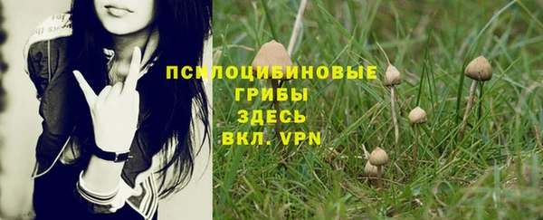 стаф Алексин