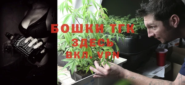 стаф Алексин