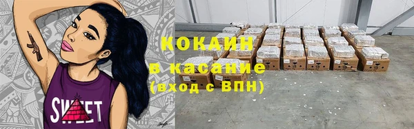 стаф Алексин