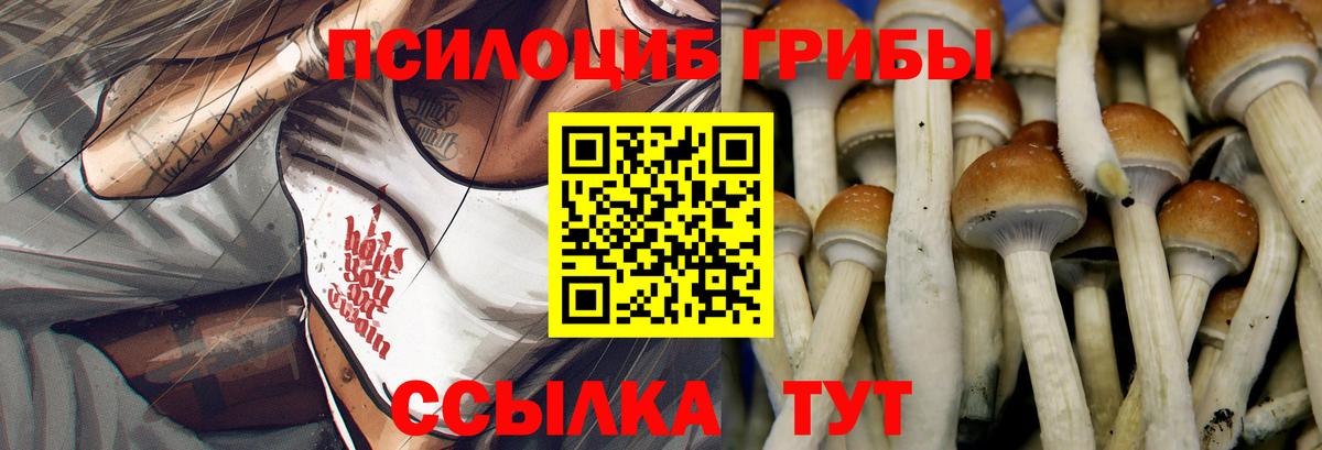 Галлюциногенные грибы мухоморы  Галлюциногенные грибы мицелий  Вход с VPN  Санкт-Петербург 